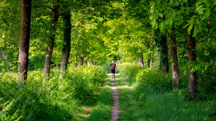 Drenthe