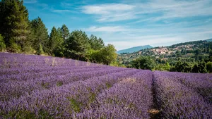 Dromen van een Frans pensioen? In deze onontdekte parel aan de Mont Ventoux kan het (echt!) voor €1.300 per maand