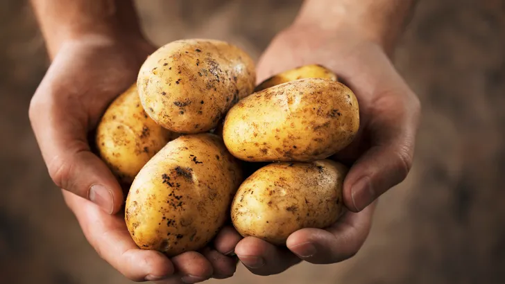 Gooi jij ook vaak aardappelen weg? Deze simpele truc houdt ze 8 weken goed