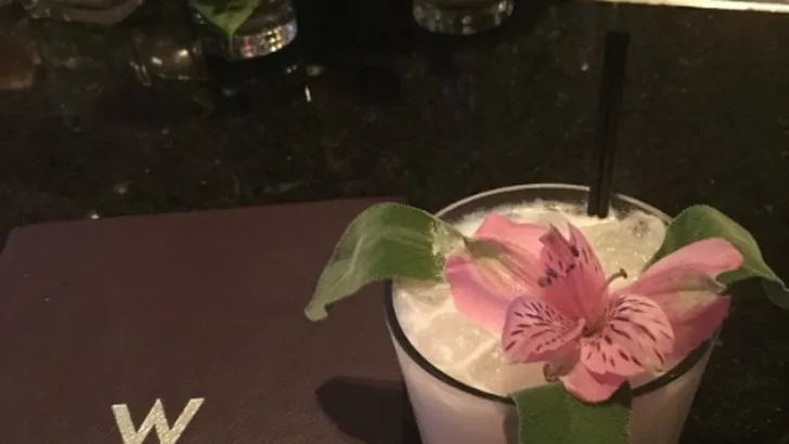 Waarom eetbare bloemen gezond zijn