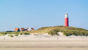 Texel Friese wortels