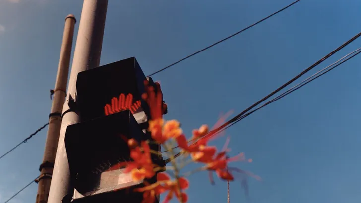 Gaat dat zien: de nieuwe tentoonstelling van Jamie Hawkesworth