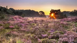 Hotspots in Drenthe