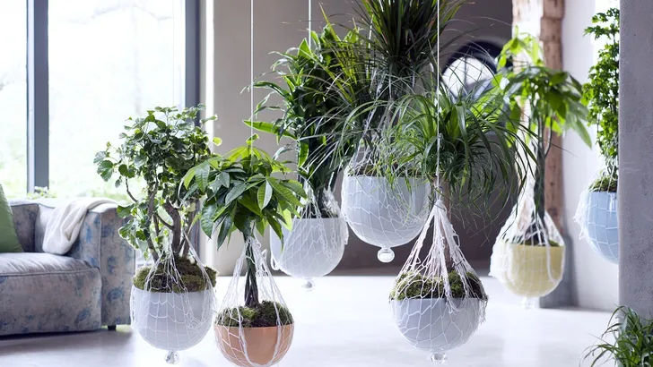 Natuurlijke luchtverfrissers om mooier mee te wonen