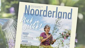 Noorderland
