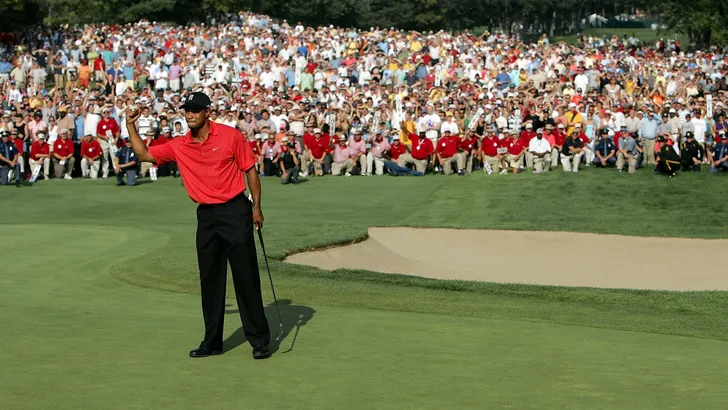 tiger woods