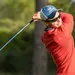 daan huizing