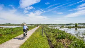 Fietsen Friesland