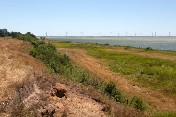 Kliffen in Friesland