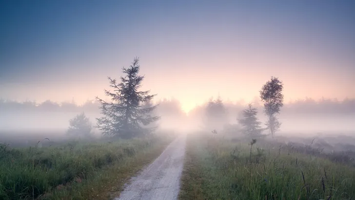 ground road into fog at sunrise