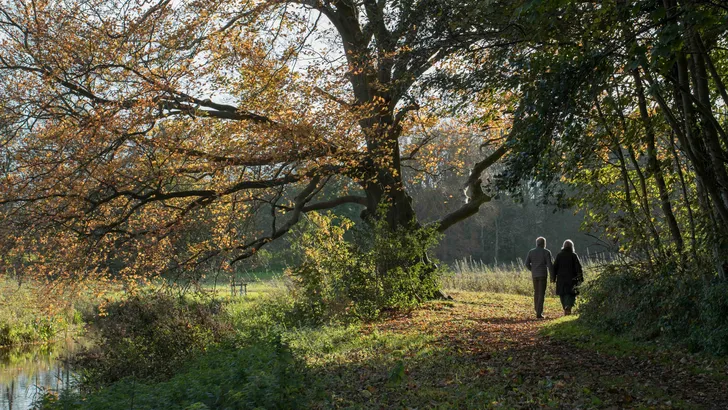 Wandelroutes herfst
