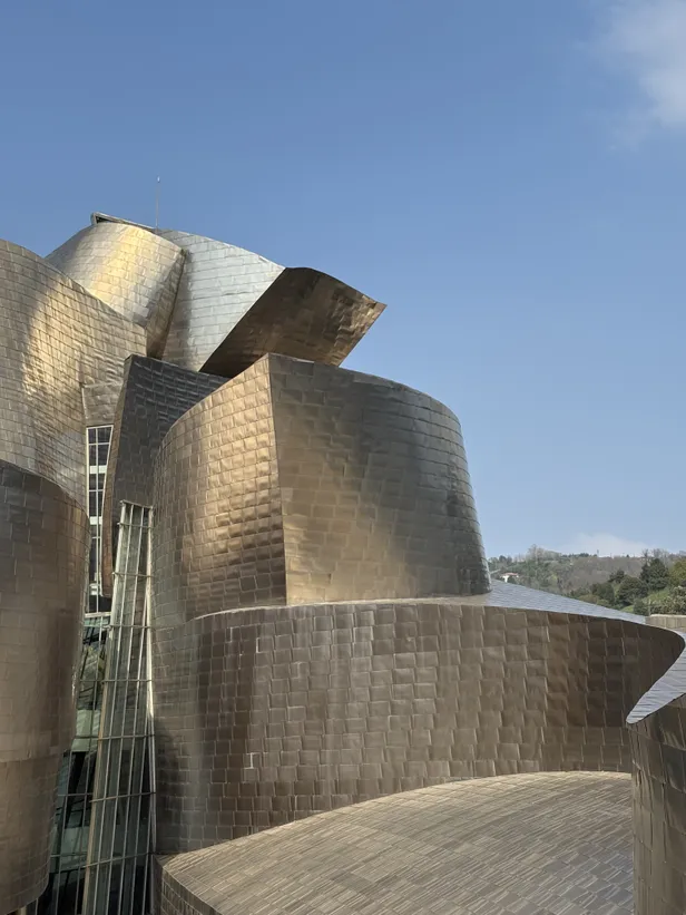 Het prachtige Guggenheim Museum Bilbao