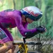 Van Aert