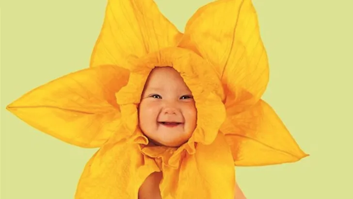 Zo zien de baby's van Anne Geddes er nu uit