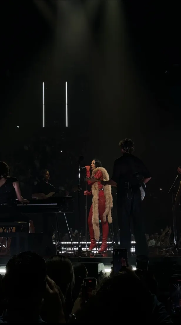 Dua Lipa covert Bloed, Zweet en Tranen 
