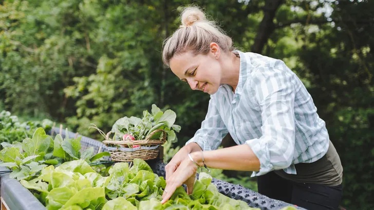 Vragen over je moestuin? 6 handige n gratis apps - Gezondnu | Gezondnu