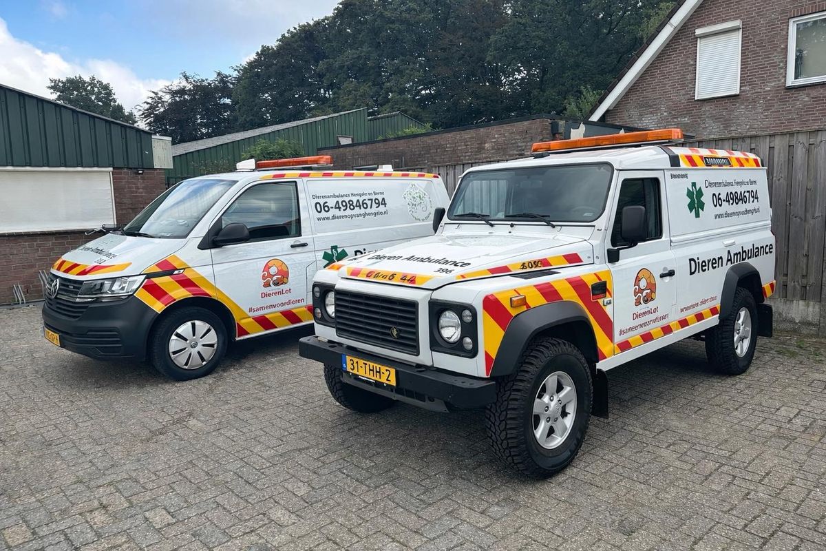 Bang voor beestenboel: ontsnapte dieren zorgen voor angstaanjagende taferelen