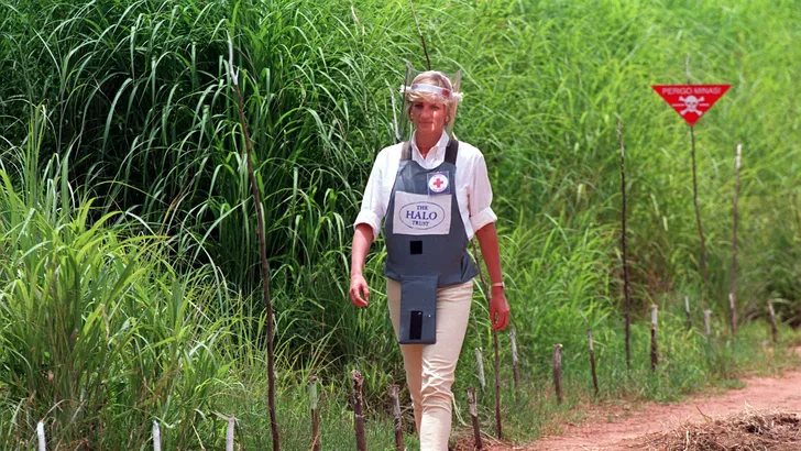 Afrika: Prins Harry zijn ode aan Prinses Diana