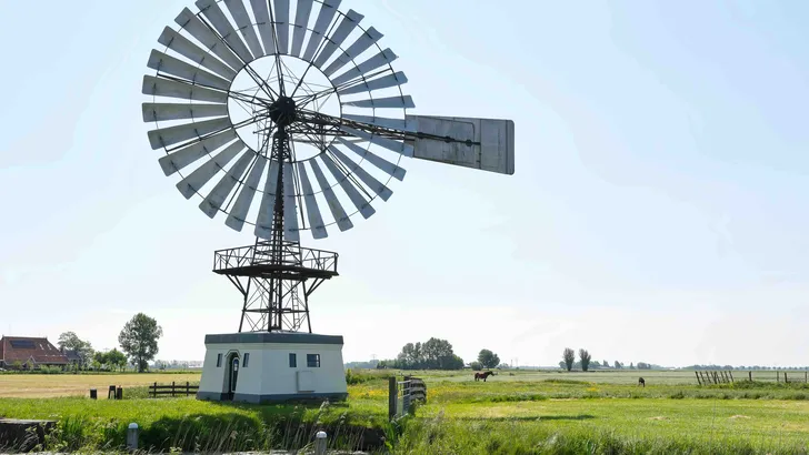 Greidhoek Friesland