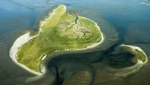 Griend Waddenzee
