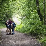 Hiking family hiking on the forest path into the spring