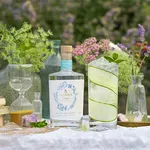 Dé uitvinding van deze zomer: alcoholvrije gin!