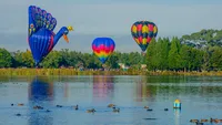 Streek van de Week ballonnenmoord Schijndel NR3820