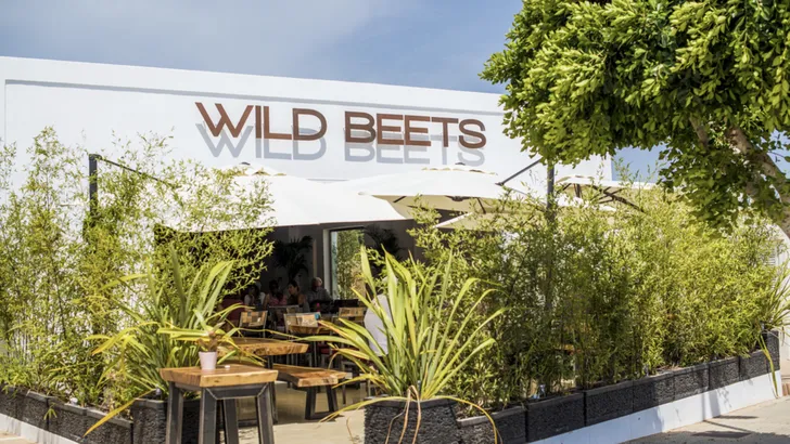 Wild Beets