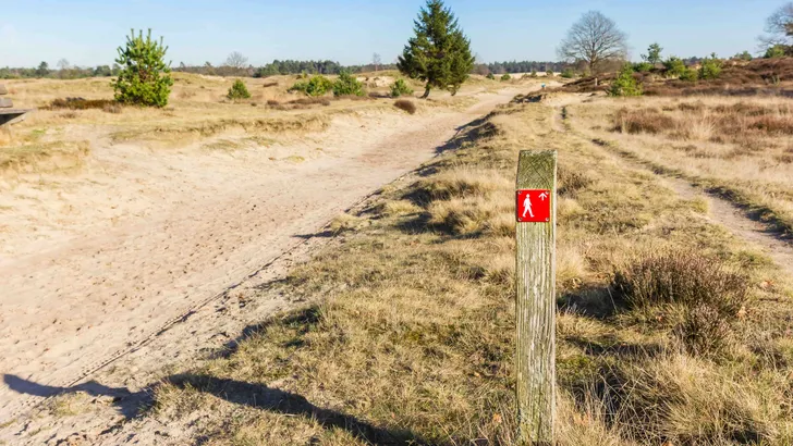 Drents-Friese Wold