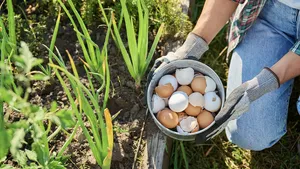 eierschalen in de tuin