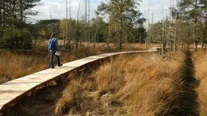 De Stippelberg: stuifzand en natuurvijvers