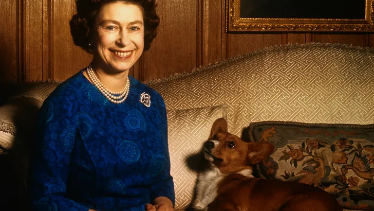 De Queen's laatste corgi's gaan bij prins Andrew wonen