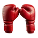 Boksen