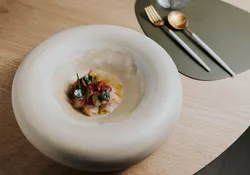 Tip van de dag