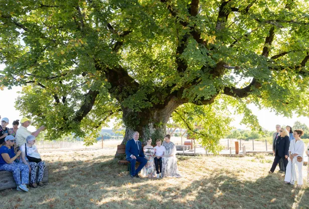 Prins Albert, prinses Charlene, prinses Gabriella en prins Jacques poseren onder dezelfde boom als prinses Charlotte in 1912.