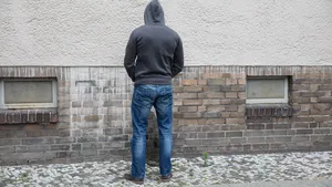 Wildplasser