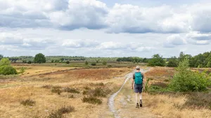 Drenthe