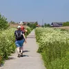 Vergeet Nijmegen: de eerste editie van de Groningse vierdaagse komt eraan | Noorderland