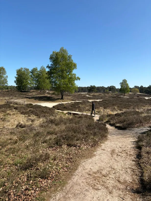 Een heerlijk begin van de ochtend!