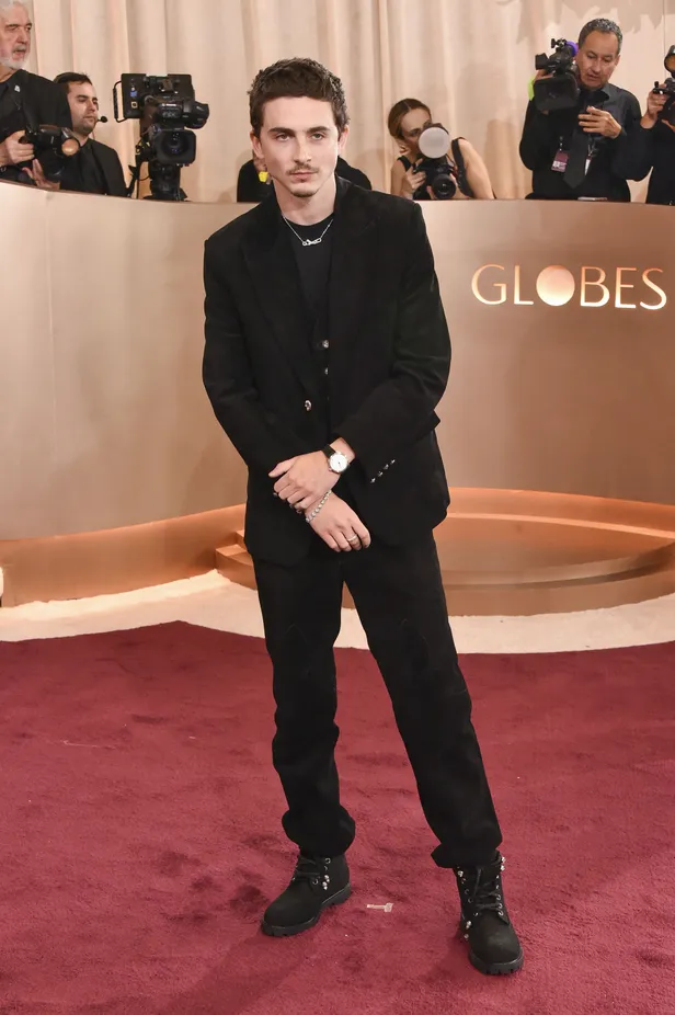 Timothee Chalamet in Chrome Heats