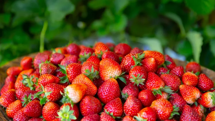 Pesticiden verwijderen van fruit