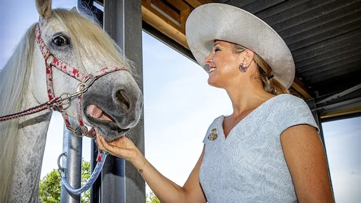 Paard valt voor Máxima