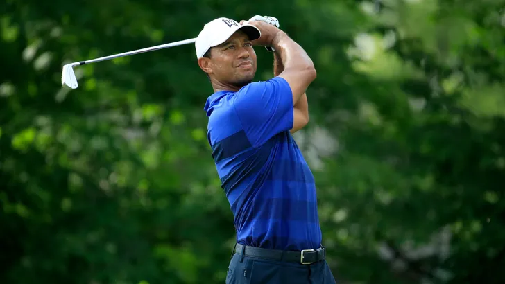 tiger