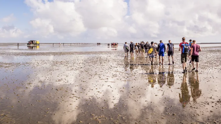Wadlopen