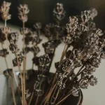 droogbloemen in een vaast
