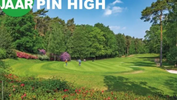 pin high