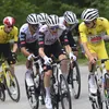 De Tourploegen van Visma en UAE naast elkaar: wie heeft de beste selectie voor de Ronde van Frankrijk? | Wieler Revue