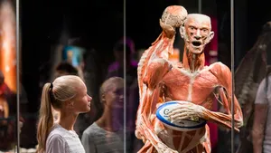 Meet je lichaamssamen- stelling bij BODY WORLDS 