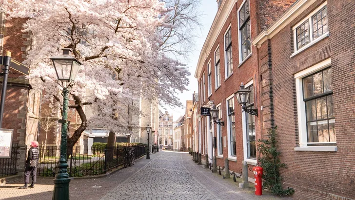 Leiden is dé museumstad dit voorjaar