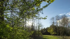 Natuurbegraafplaats Mepperdennen geopend